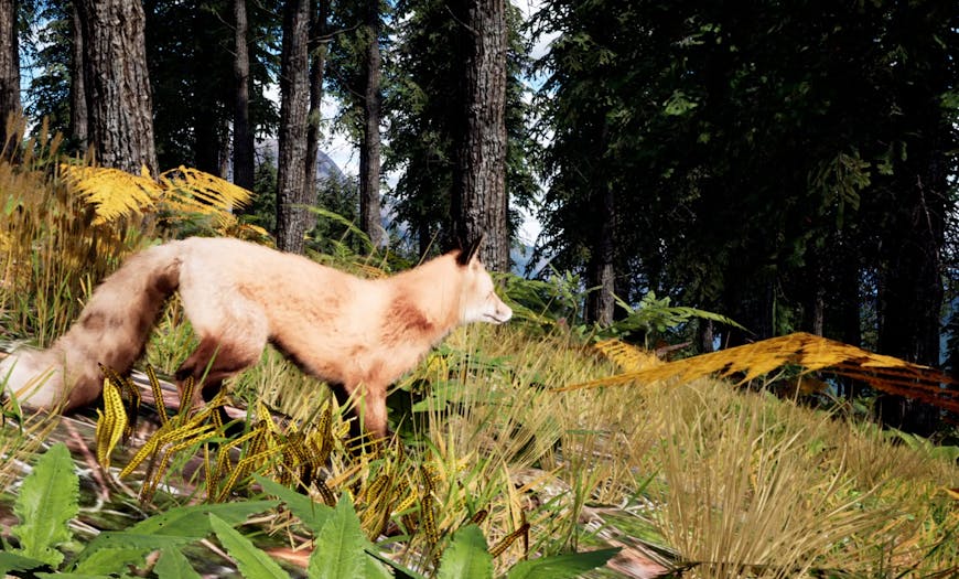 Students direct a fox to explore the Canadian wilderness in Fluid Planet, built with Cesium for Unreal. A red fox is on a grassy slope in the forest, with mountains in the background.