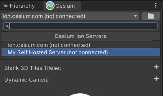 A screenshot showing the server selector on the Cesium panel, with the new self-hosted server highlighted.