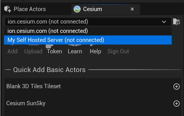 A screenshot showing the server selector on the Cesium panel, with the new self-hosted server highlighted.