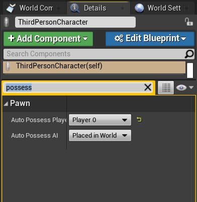 Cesium for Unreal controllers autoPossessSetting