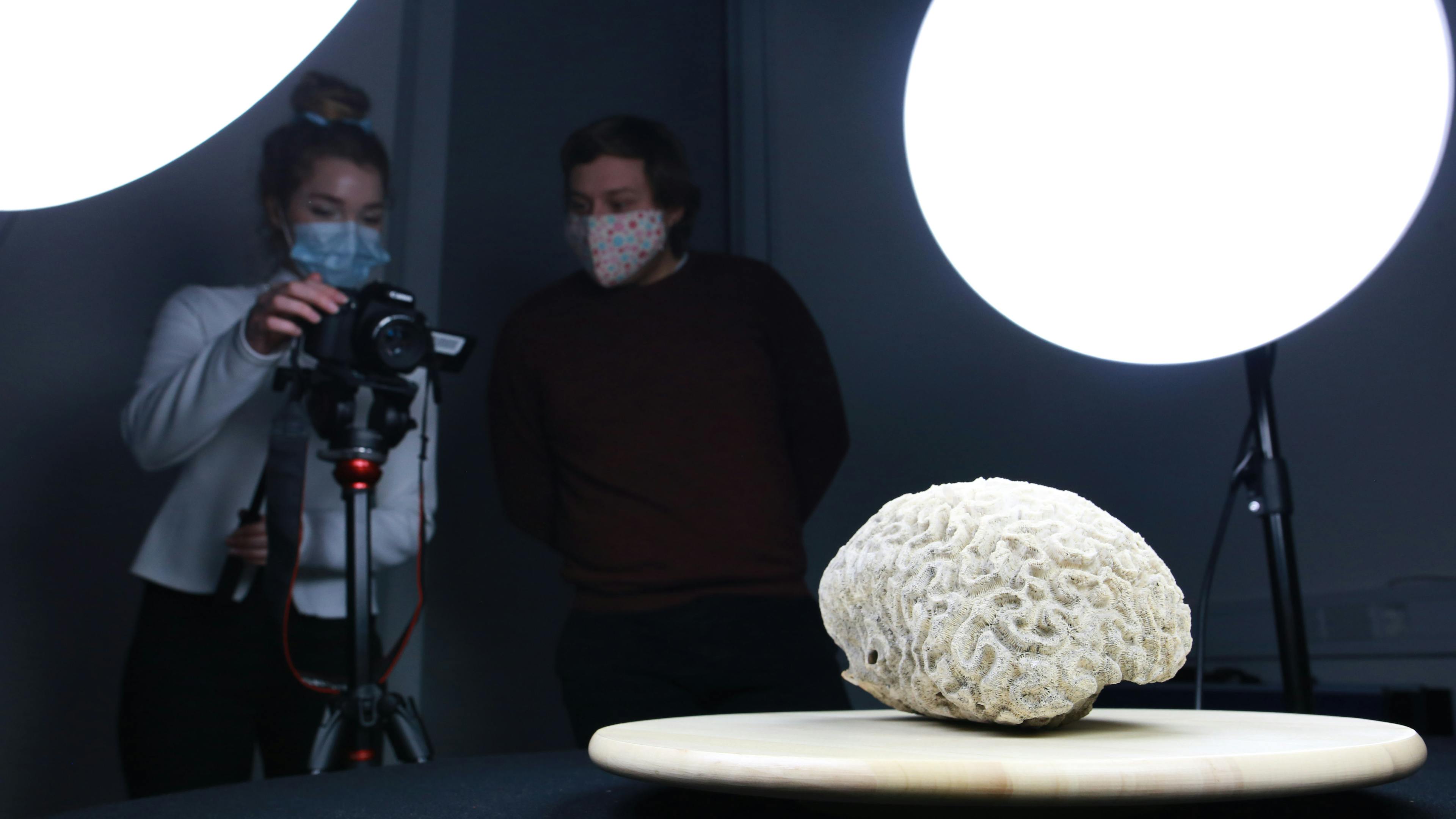 Image of students taking photo of a Brain Coral for photogrammetry 