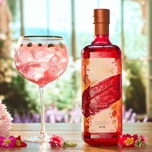 14 of the best pink gins to buy for Valentine's Day 2024! - Craft Gin Club