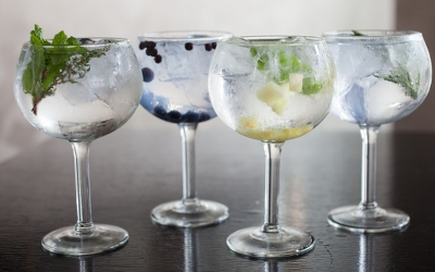 gin and tonic