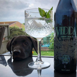 craft+gin+dog+dexter.jpg