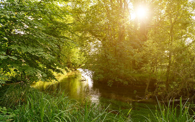 The River Test