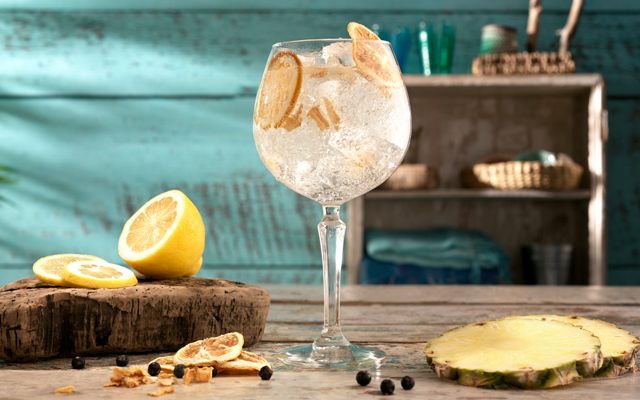 Top tips for making the perfect gin and tonic >>