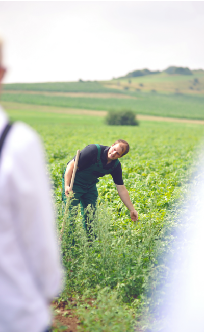 tobias schwoll tends to his crops windspiel gin