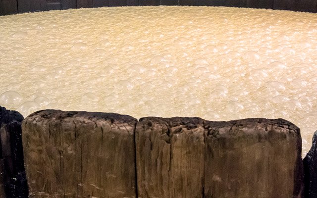 Whiskey fermentation process