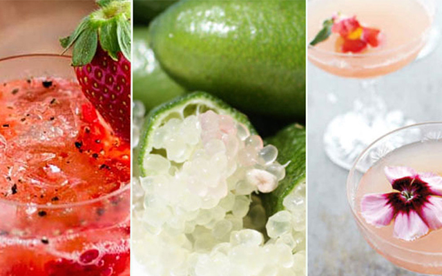 Gin Garnish to try.jpg