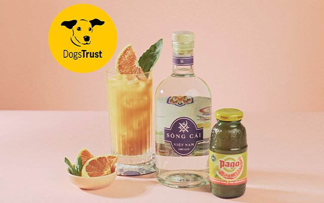 Dog's Trust cocktail bundle for a Mother's Day gin gift