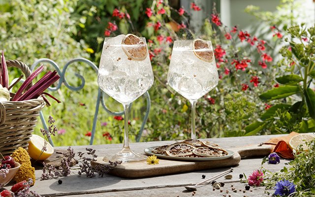 Gin and tonic in the garden