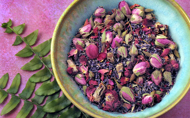 Rose buds and lavender.jpg