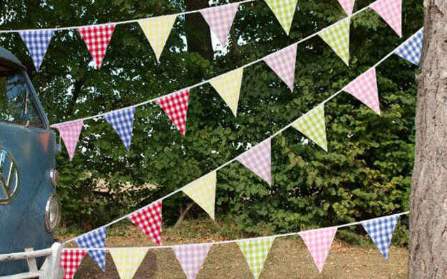 Gingham Bunting.jpg
