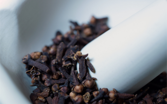 clove botanical dried