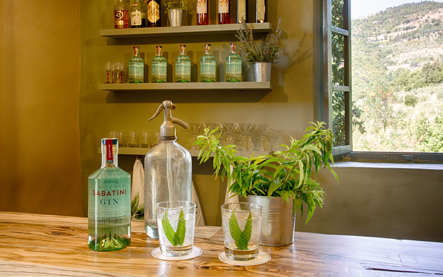 Sabatini Gin Tonic Villa Ugo