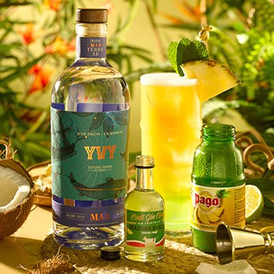 YVY gin