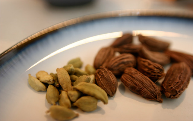 cardamom botanicals