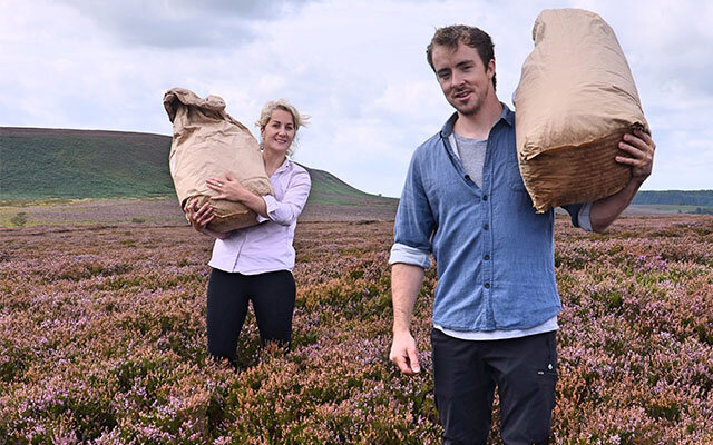 Jess and Luke harvesting heather for distillation