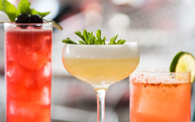 Pretty gin cocktails on a bar