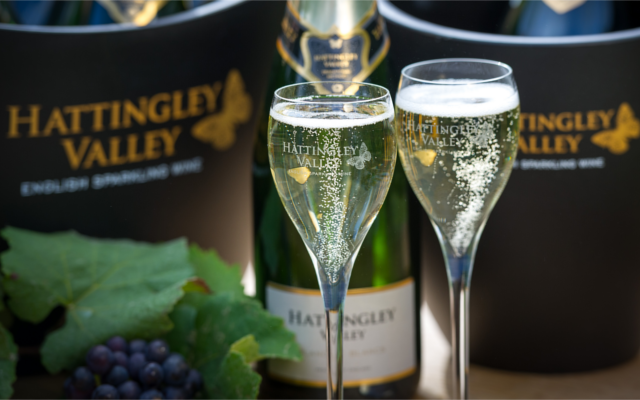 Hattingley Valley english sparkling wine fizz