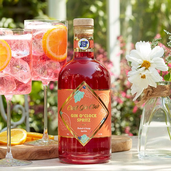 Rhubarb Gin Liqueur with spritz cocktail