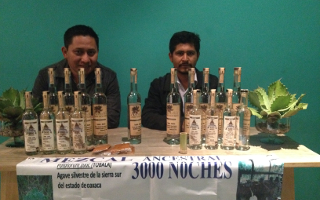 trading gin