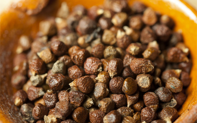cardamom grains of paradise melegueta spice gin