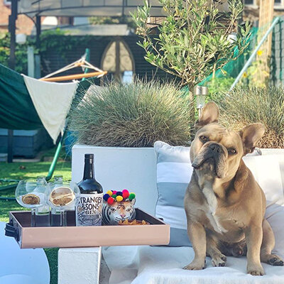 @huxleyandhunter. Soaking up the last of the summer sun with a perfect G&T in the garden - and with the best gin-pal ever, of course!