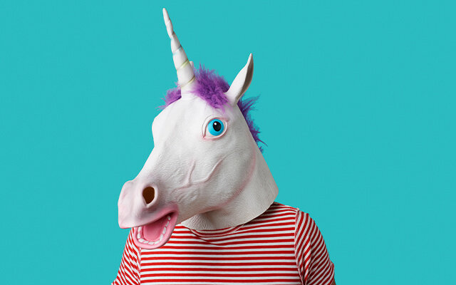 Unicorn fancy dress.jpg