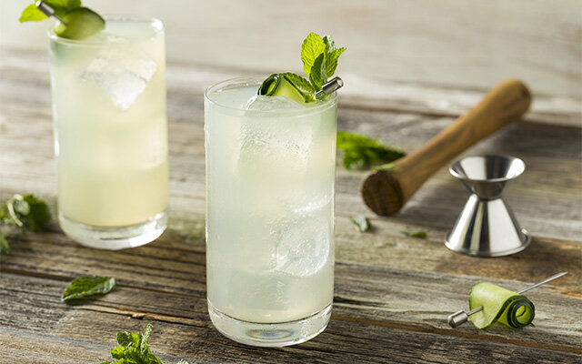 Dartmouth English Gin's Gin Fizz