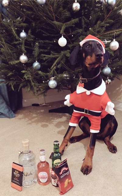 December Batch Gin Runner-Up