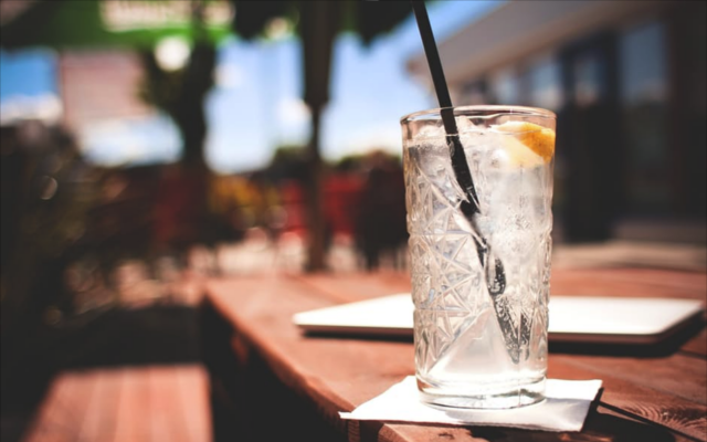 gin and tonic in high ball