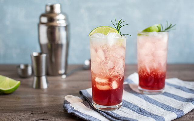 CGC SLOE GIN.jpg