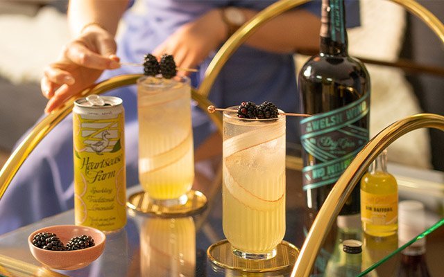Best gin for gin and lemonade can