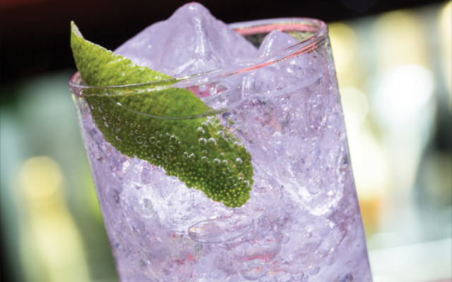 glow in the dark tonic and gin