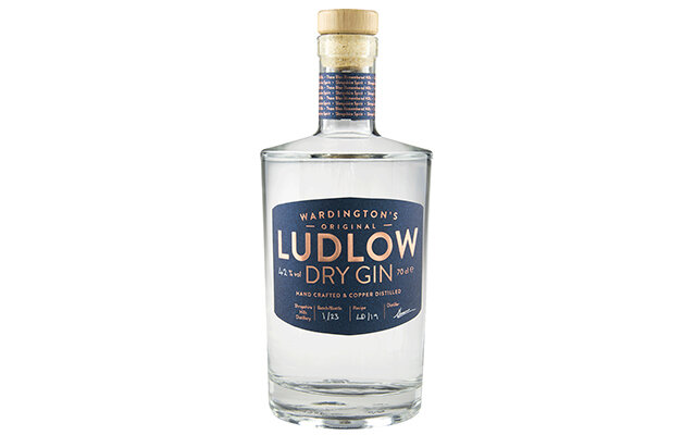 Ludlow Dry Gin.jpg