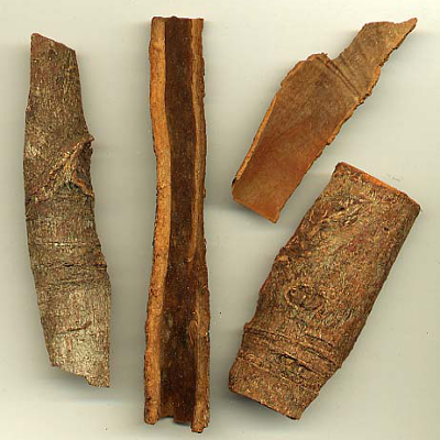 cassia bark in raw state