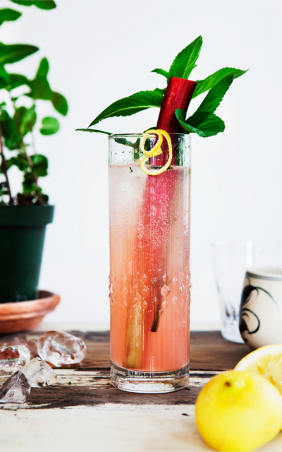 Rhubarb Collins refreshing Gin Cocktail drink with lemon in hi ball glass