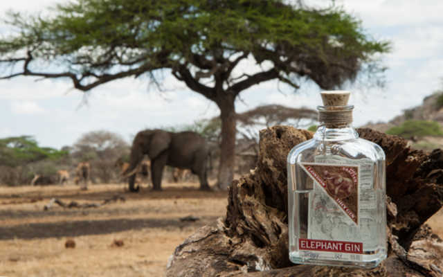 elephant gin