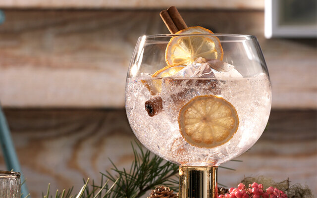 january+perfect+gin+and+tonic.jpg