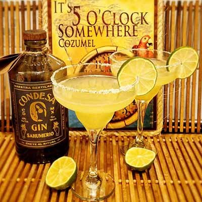 Condesa gin 