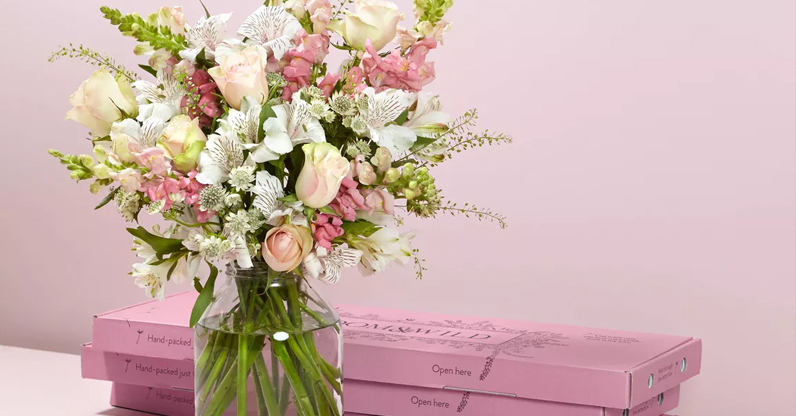 Bloom and Wild.jpg