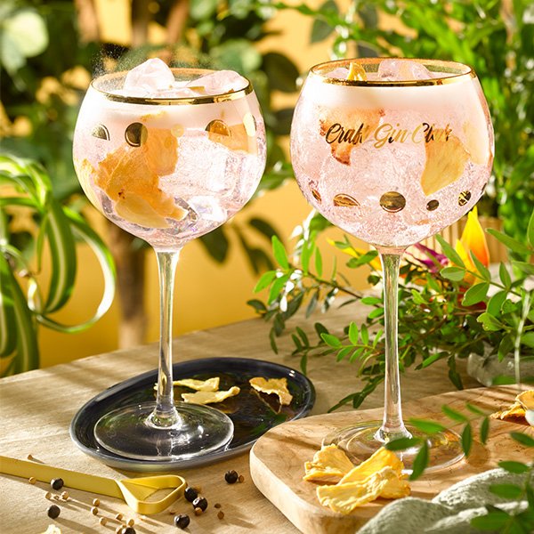 Gin and tonic in a copa glass