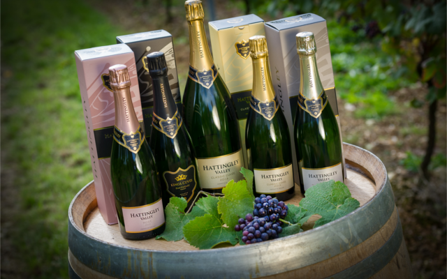 Hattingley Valley sparkling rose english fizz