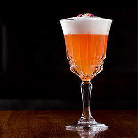 Sloe Gin Fizz