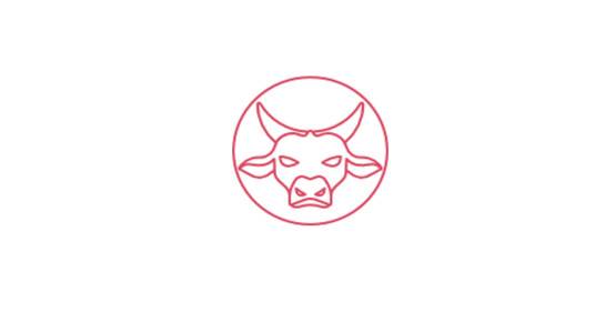 taurus2.jpg