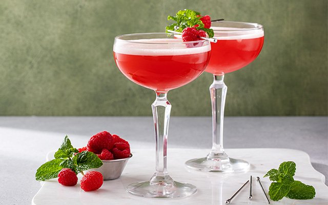 Sloe Gin Sour cocktail recipe