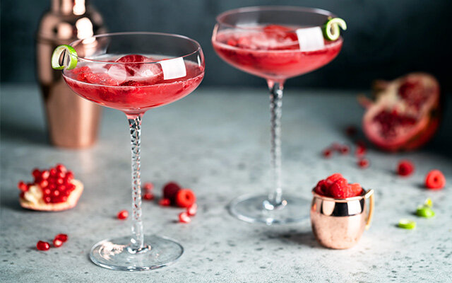 Pomegranate+gin+fizz+cocktails.jpg