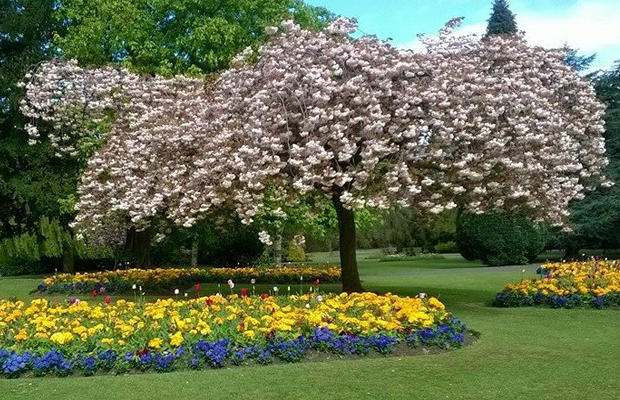 cannonhill park Birmingham.png