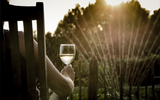 Summer evening drinking wine in a deckchair in the garden